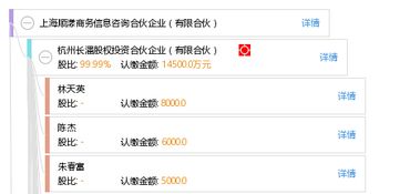 上海順漾商務(wù)信息咨詢合伙企業(yè)（有限合伙）的專業(yè)服務(wù)與市場價(jià)值探析